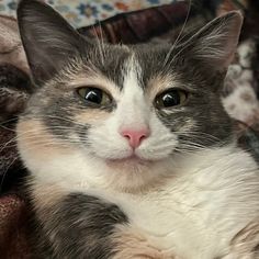 Innehåller en bild av: 